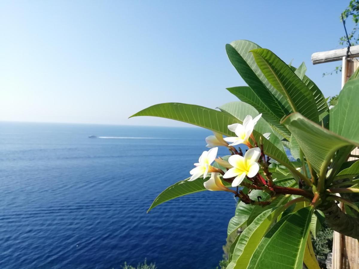 Sea Side Solandra Apartman Praiano Kültér fotó